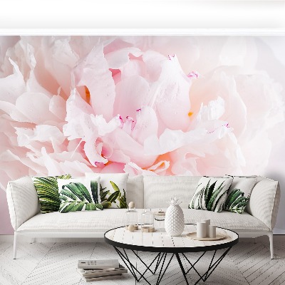 Papel de parede Peônia Rosa