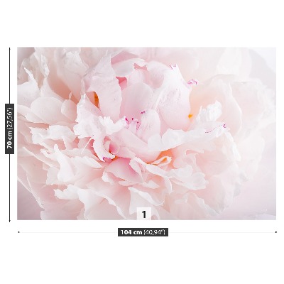 Papel de parede Peônia Rosa