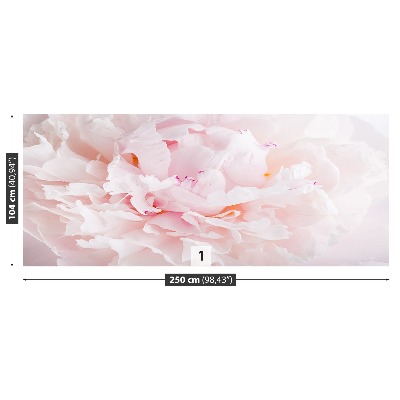 Papel de parede Peônia Rosa