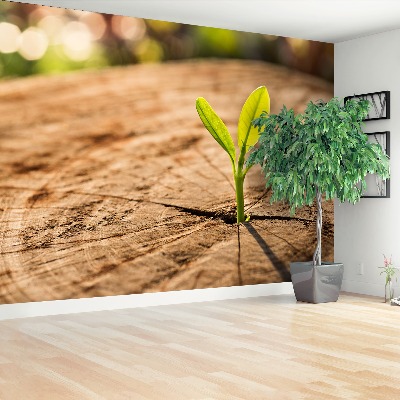 Papel de parede Broto Verde