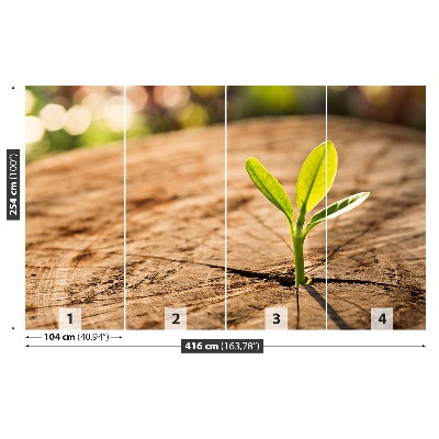 Papel de parede Broto Verde