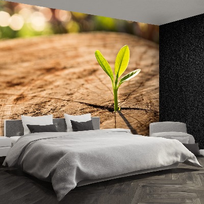 Papel de parede Broto Verde