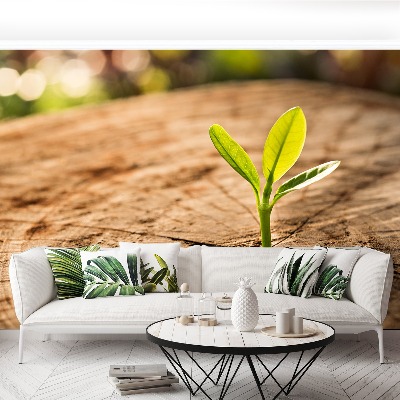 Papel de parede Broto Verde