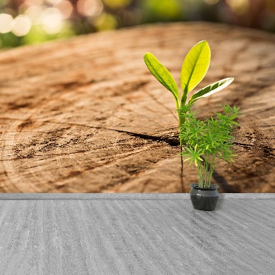 Papel de parede Broto Verde