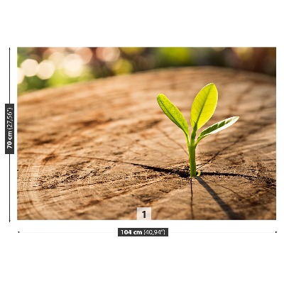 Papel de parede Broto Verde