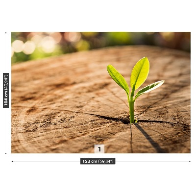 Papel de parede Broto Verde