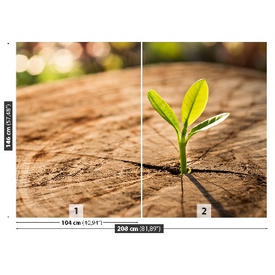 Papel de parede Broto Verde