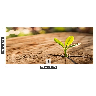 Papel de parede Broto Verde