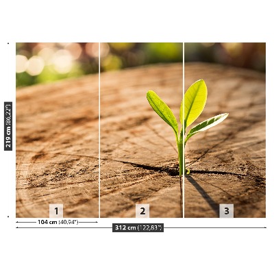 Papel de parede Broto Verde