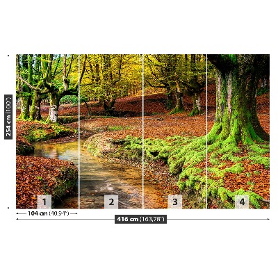 Papel de parede Floresta no outono