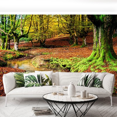 Papel de parede Floresta no outono