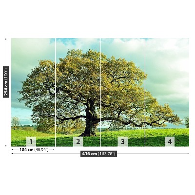 Mural de parede Carvalho