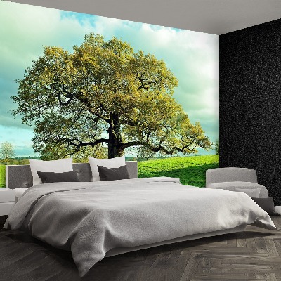 Mural de parede Carvalho