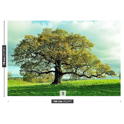 Mural de parede Carvalho