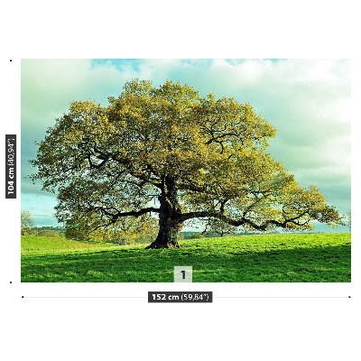 Mural de parede Carvalho