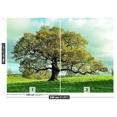 Mural de parede Carvalho