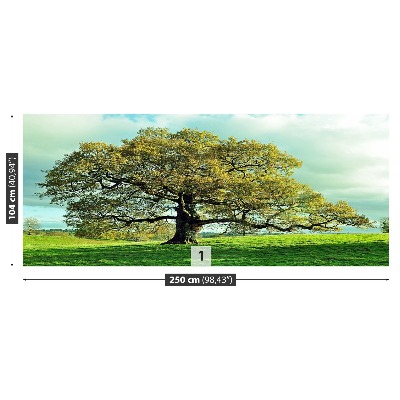 Mural de parede Carvalho