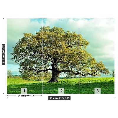 Mural de parede Carvalho