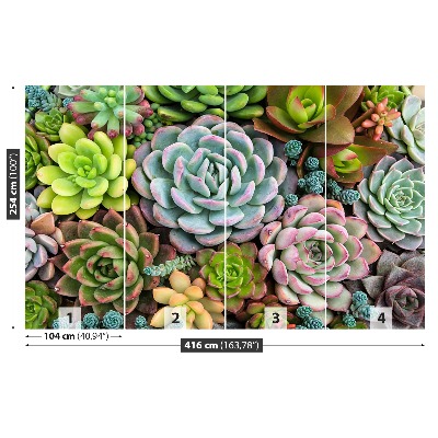 Mural de parede Plantas de jardim de pedras