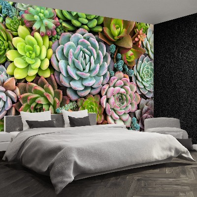 Mural de parede Plantas de jardim de pedras