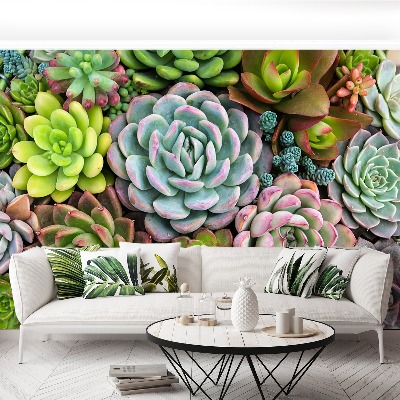 Mural de parede Plantas de jardim de pedras