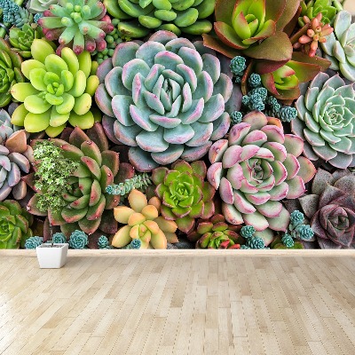 Mural de parede Plantas de jardim de pedras