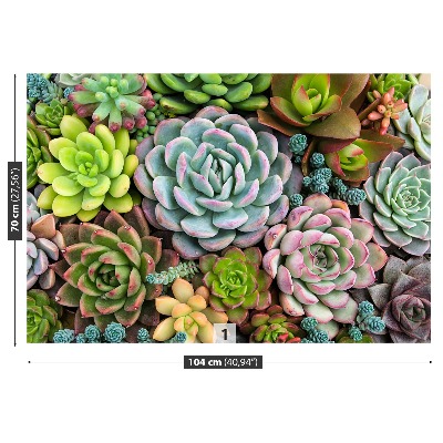 Mural de parede Plantas de jardim de pedras