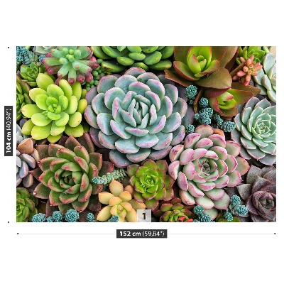 Mural de parede Plantas de jardim de pedras