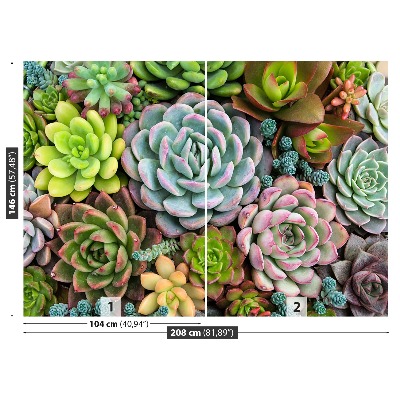 Mural de parede Plantas de jardim de pedras