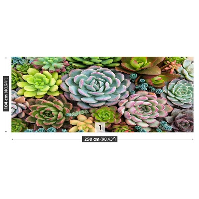 Mural de parede Plantas de jardim de pedras