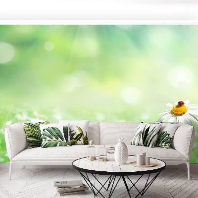 Papel de parede Camomila Verde