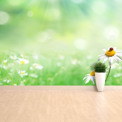 Papel de parede Camomila Verde