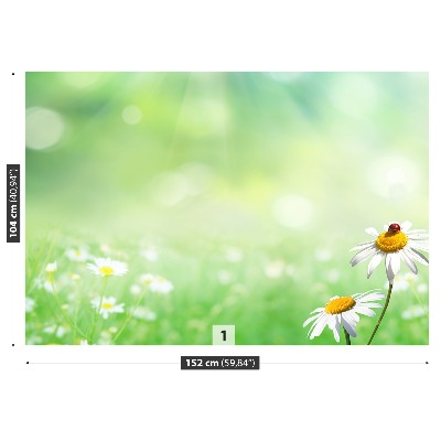 Papel de parede Camomila Verde