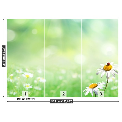 Papel de parede Camomila Verde