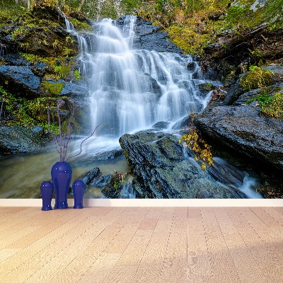 Mural de parede Cachoeira