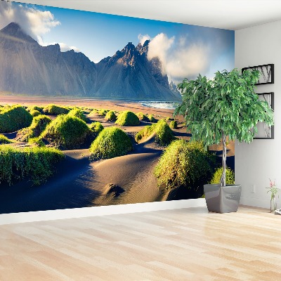 Mural de parede Dunas