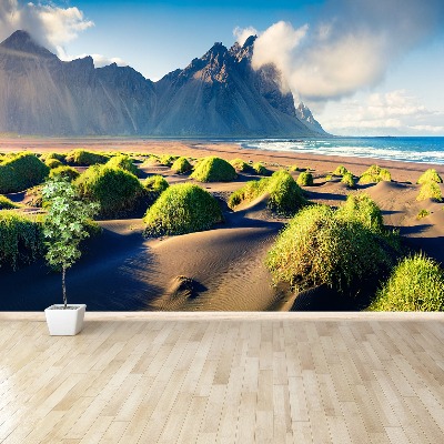 Mural de parede Dunas