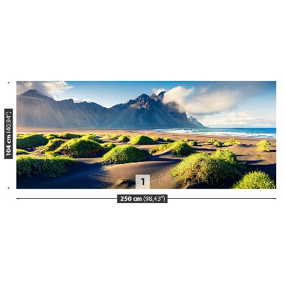 Mural de parede Dunas