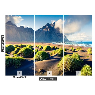 Mural de parede Dunas