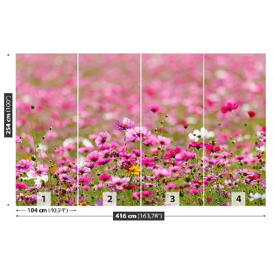 Papel de parede Flores cosmos