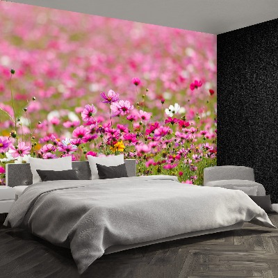 Papel de parede Flores cosmos