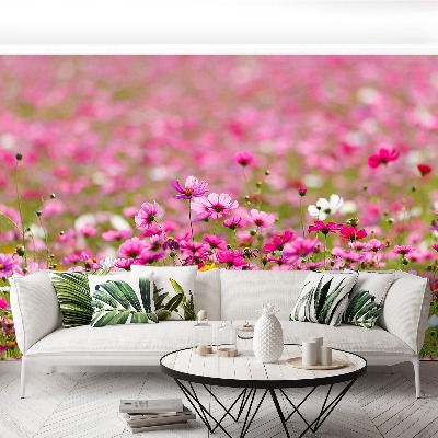 Papel de parede Flores cosmos