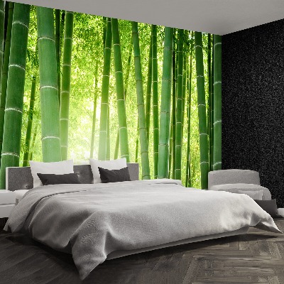 Mural de parede Floresta de bambu