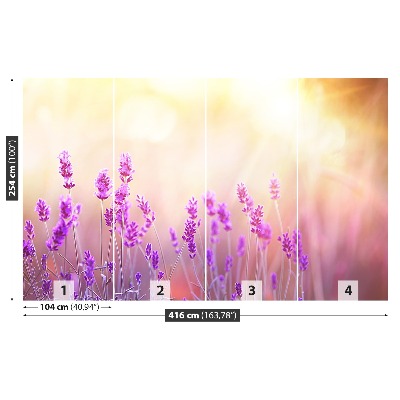Mural de parede Lavanda Dourada