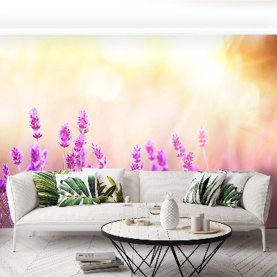 Mural de parede Lavanda Dourada