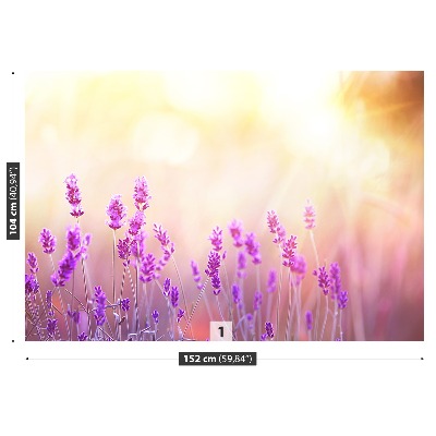Mural de parede Lavanda Dourada