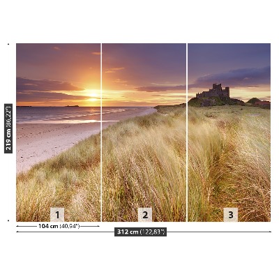 Papel de parede Castelo das Dunas