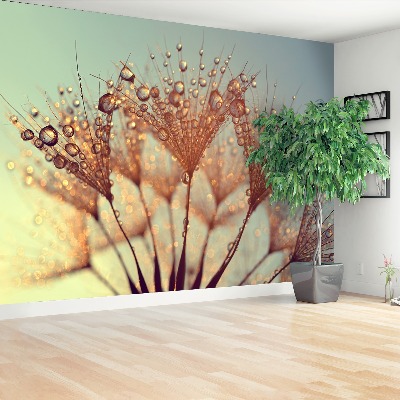 Mural de parede Dente-de-leão Rosa