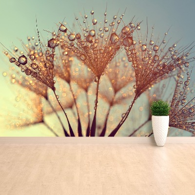 Mural de parede Dente-de-leão Rosa