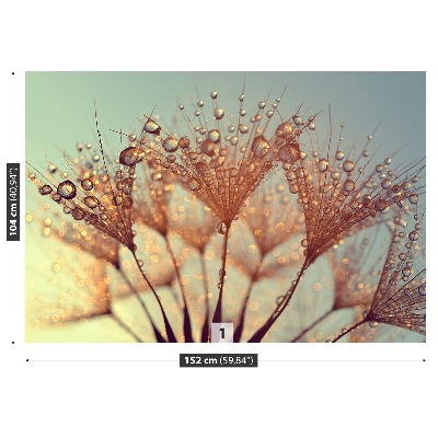 Mural de parede Dente-de-leão Rosa